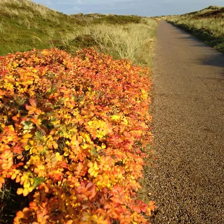 Apartmán Haus Sylter Welle 5-39 Wb Westerland